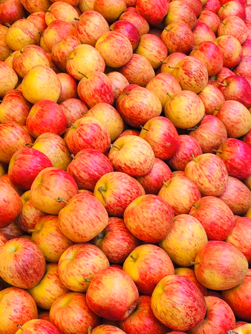 Tomate Italiano (kg)